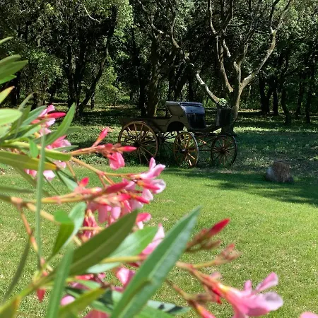 Gite La Magnanerie Holiday home *